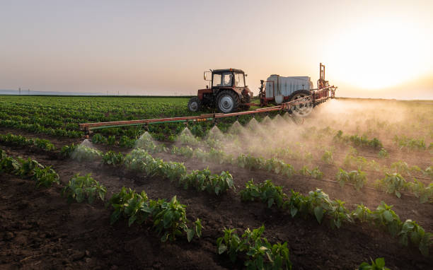 Best Commercial Pest Control Services  in , LA